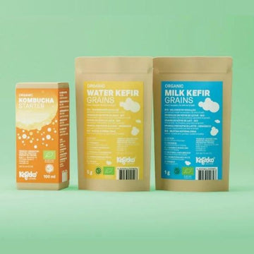 tres blisters de carton conteniendo starter de kombucha y nodulos de kefir de agua y kefir de leche