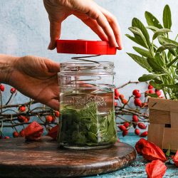 Manos colocando la tapa roja a un fermentador de verduras Kefirko lleno de hojas verdes para iniciar la fermentación.