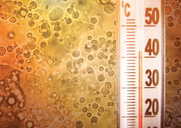 Termómetro marcando 40°C junto a una vista microscópica de microorganismos, ilustrando los fermentos y calor.