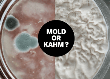 Imagen dividida: la izquierda muestra moho verde difuso, la derecha muestra levadura kahm en un tarro de cristal, con el texto ¿Moho o Kahm? en el centro.