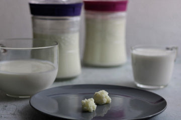 Nódulos de kéfir en un plato gris, rodeados por tazas y tarros de vidrio Kefirko llenos de kéfir de leche.