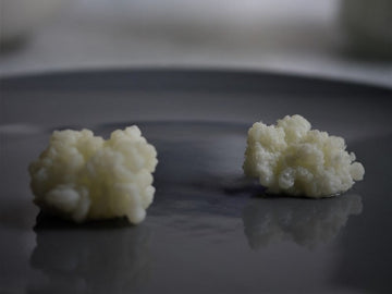 5 consejos que pueden ayudar a fermentar los nódulos de kéfir