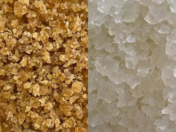 comparacion de nodulos deshidratados y nodulos activos