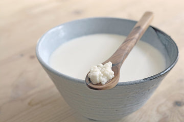 ¿Qué es el kéfir?