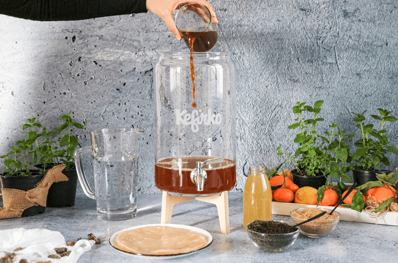 Mano vierte té en un tarro de vidrio Kefirko para la fermentación de kombucha, con un SCOBY y otros ingredientes alrededor.