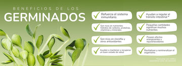 banner verde con bocadillos explicando beneficios de comer germinados