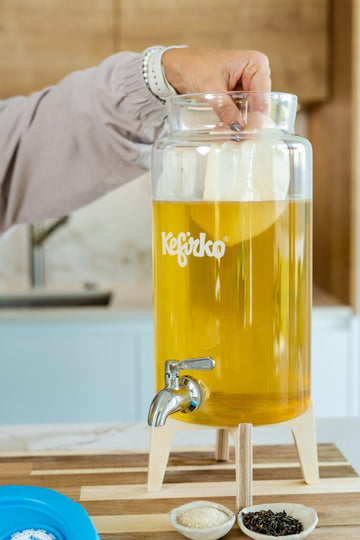 Mano introduciendo una kombucha madre en un fermentador de vidrio Kefirko con té para iniciar la fermentación.