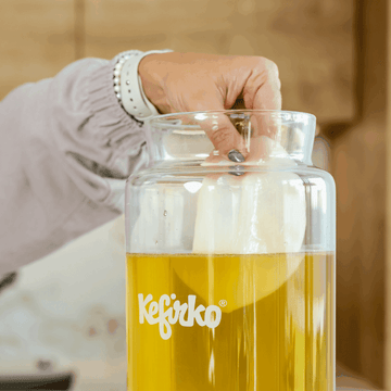 Mano introduciendo un SCOBY en un tarro de vidrio Kefirko para iniciar el cultivo de kombucha.