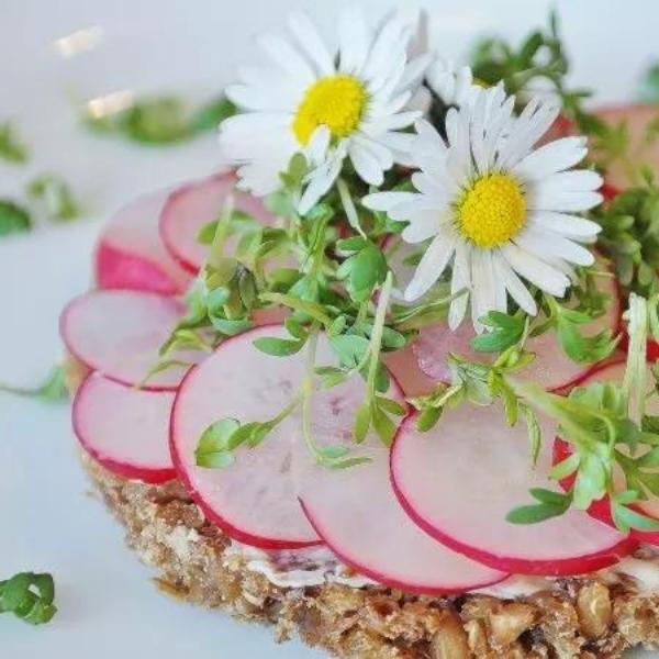 tostada con rabanos y brotes