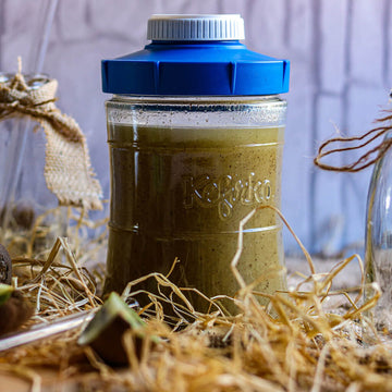 Tarro de vidrio Kefirko con tapa azul, lleno de una bebida verde junto a trozos de kiwi y rodeado de paja.