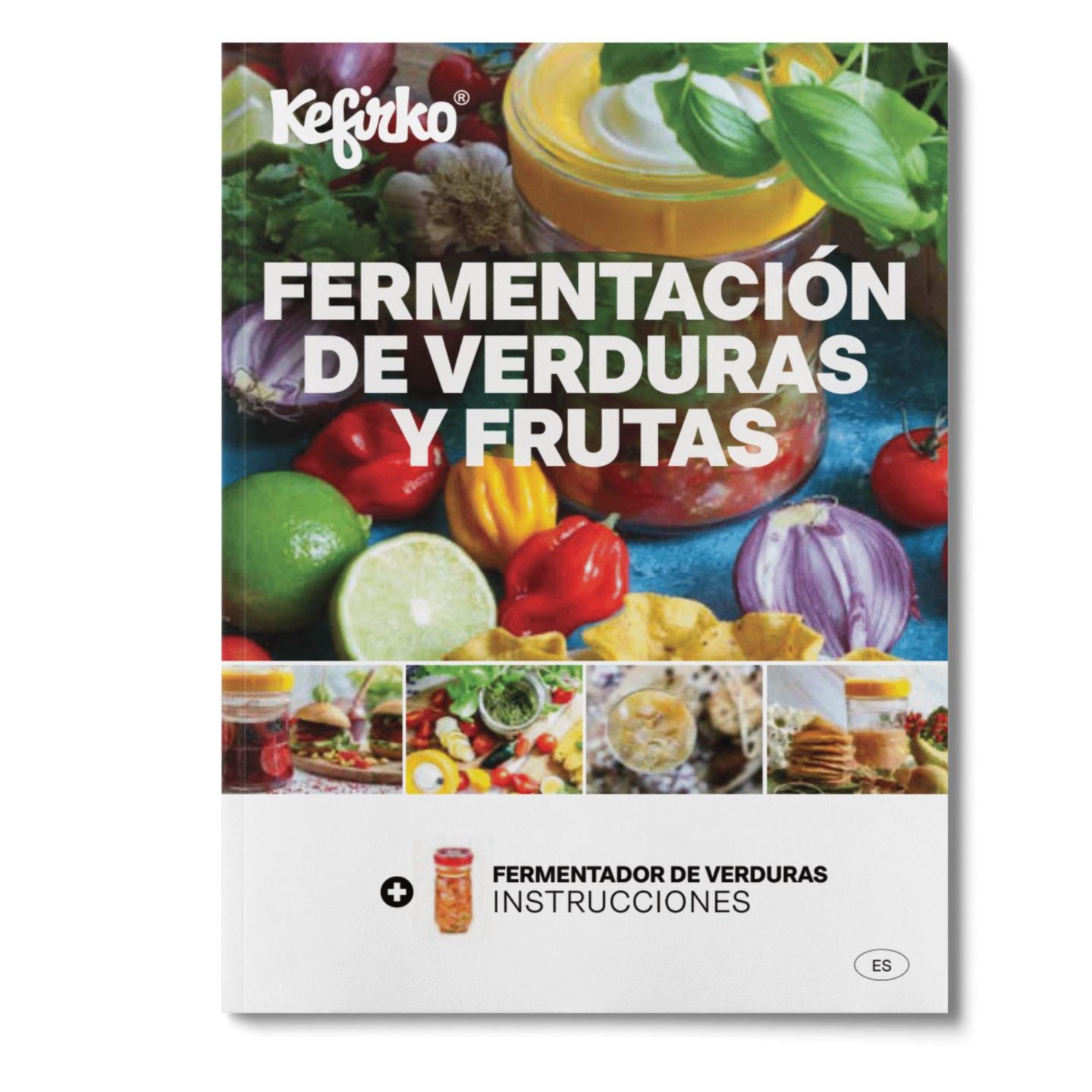 libro recetas fermentar verduras